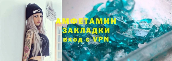 индика Сатка