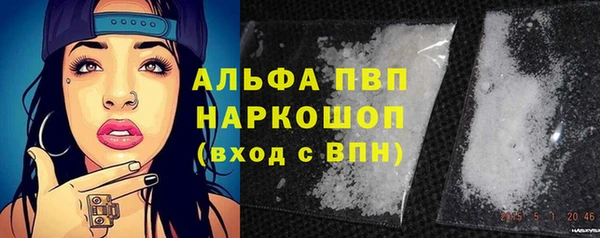 стафф Богородицк