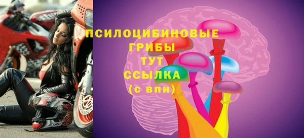 Альфа ПВП Богородск